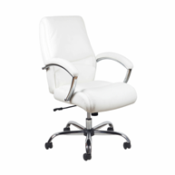 ess-office-furniture-computer-chairs-1